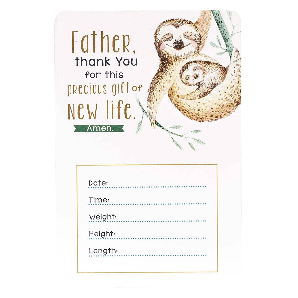 My Baby's Milestones