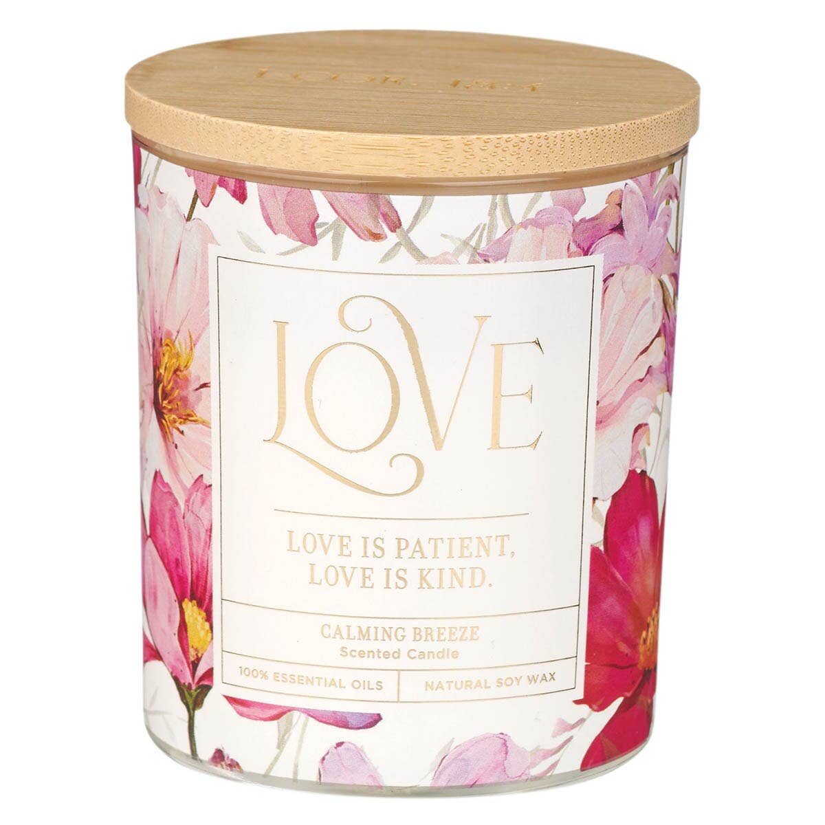 Love is Patient 1 Cor. 13:4